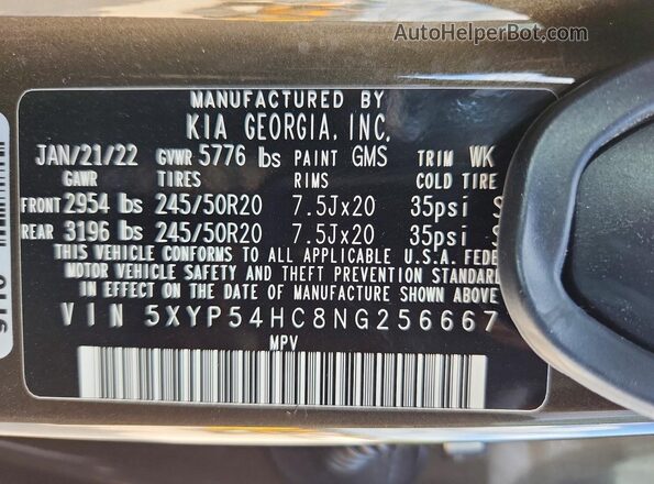 5XYP54HC8NG256667 2022 KIA TELLURIDE Brown Панорамний вид салону 360°
