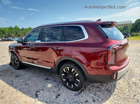 5XYP5DGC0PG335304 2023 KIA TELLURIDE Burgundy Հետևի ձախ