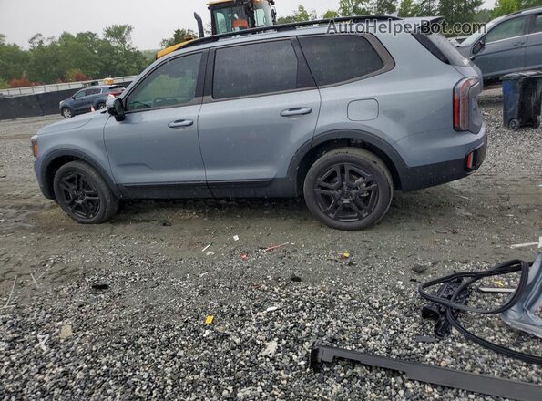 5XYP5DGC0SG571931 2025 KIA TELLURIDE Blue Tył lewy