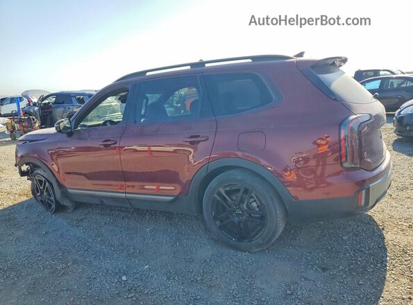 5XYP5DGC1PG357019 2023 KIA TELLURIDE Burgundy Rear left