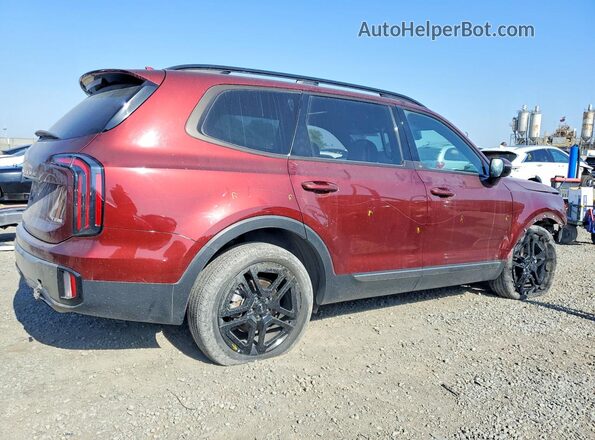 5XYP5DGC1PG357019 2023 KIA TELLURIDE Burgundy Rear right