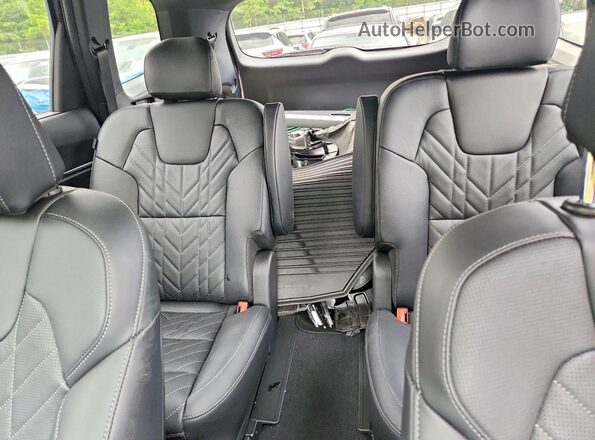 5XYP5DGC1SG708942 2025 KIA TELLURIDE Charcoal Вид задніх сидінь