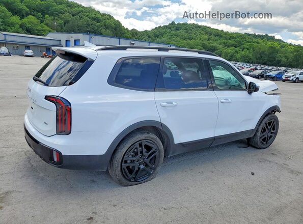 5XYP5DGC3RG436016 2024 KIA TELLURIDE White Rear right