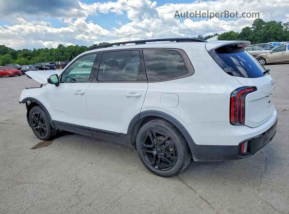 5XYP5DGC3RG436016 2024 KIA TELLURIDE White Rear left