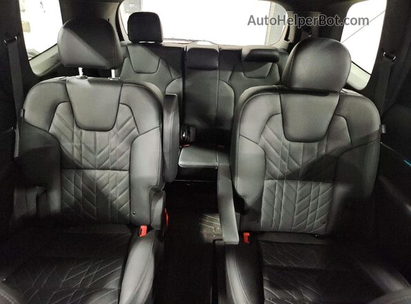 5XYP5DGC4RG539154 2024 KIA TELLURIDE Teal Widok tylnych siedzeń