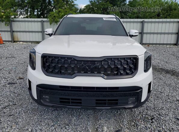 5XYP5DGC4SG620306 2025 KIA TELLURIDE White Widok z przodu