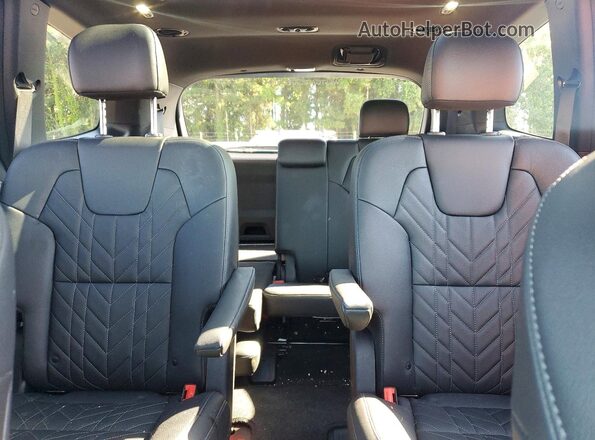 5XYP5DGC4SG674057 2025 KIA TELLURIDE Black Հետևի նստատեղերի տեսք