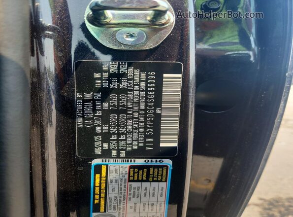 5XYP5DGC4SG696396 2025 KIA TELLURIDE Черный Панорамный вид салона 360°