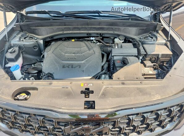 5XYP5DGC4SG696396 2025 KIA TELLURIDE Черный Вид подкапотного пространства