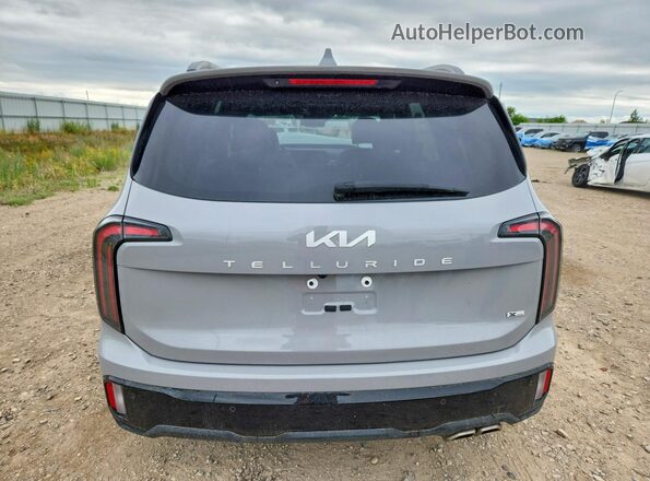 5XYP5DGC5RG543021 2024 KIA TELLURIDE Gray Widok z tyłu