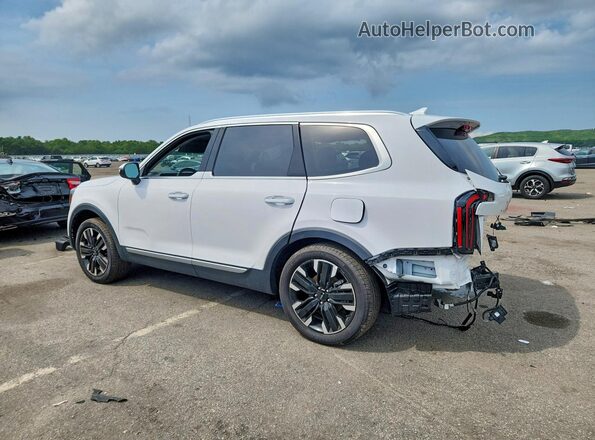5XYP5DGC7RG513342 2024 KIA TELLURIDE White Հետևի ձախ