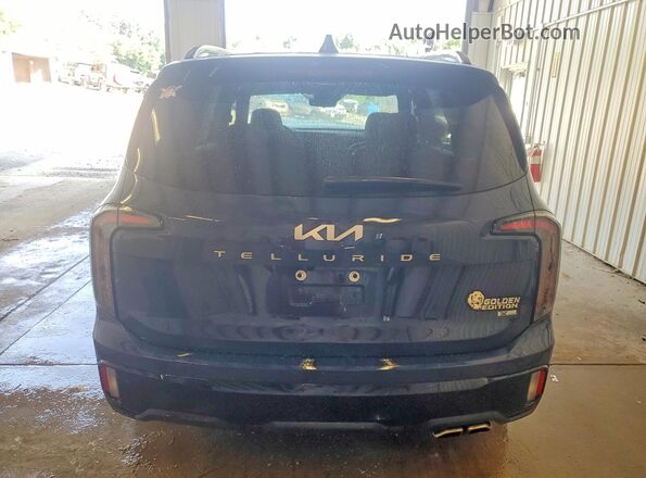 5XYP5DGC7RG537902 2024 KIA TELLURIDE Blue Widok z tyłu