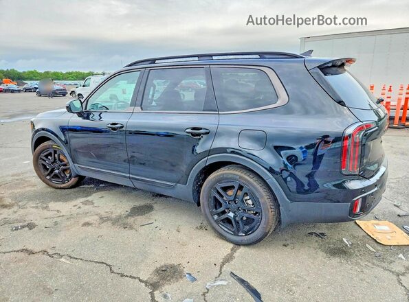 5XYP5DGC7SG698434 2025 KIA TELLURIDE Black უკანა მარცხენა