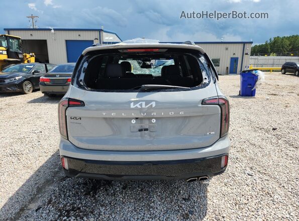 5XYP5DGC9RG419432 2024 KIA TELLURIDE Gray Հետևի տեսք