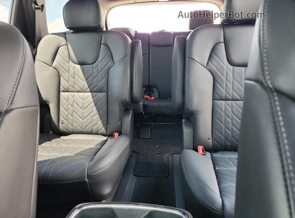 5XYP5DGC9RG419432 2024 KIA TELLURIDE Gray Հետևի նստատեղերի տեսք