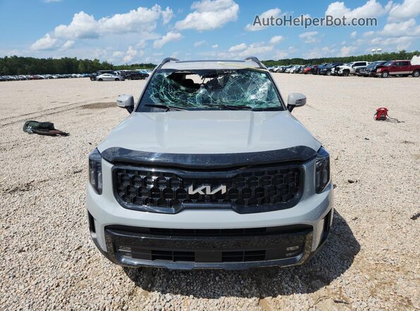5XYP5DGC9RG419432 2024 KIA TELLURIDE Gray Դիմացի տեսք