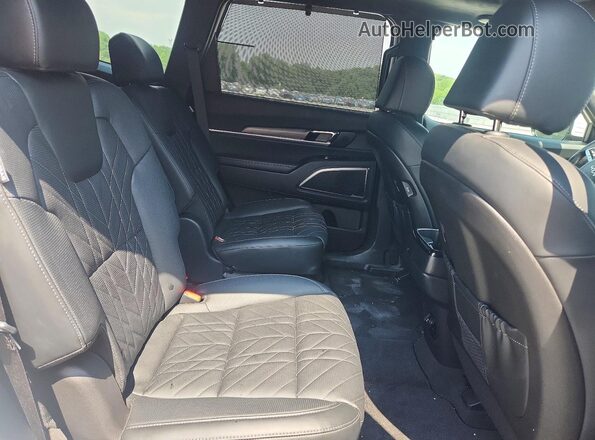 5XYP5DGC9RG495653 2024 KIA TELLURIDE White Vista interior trasera