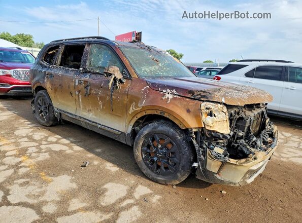 5XYP5DGCXPG339926 2023 KIA TELLURIDE Серый Передняя правая четверть
