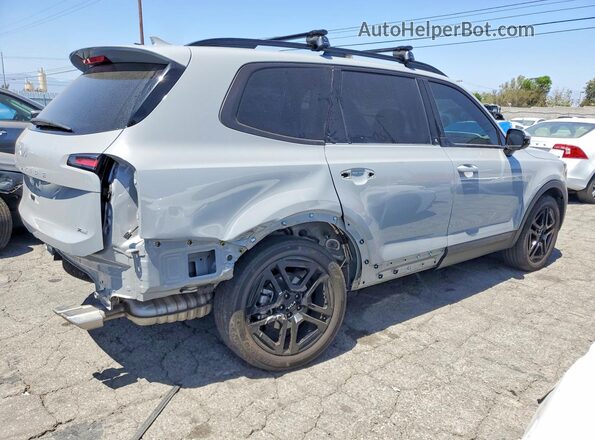 5XYP5DGCXRG446574 2024 KIA TELLURIDE Gray Tył prawy