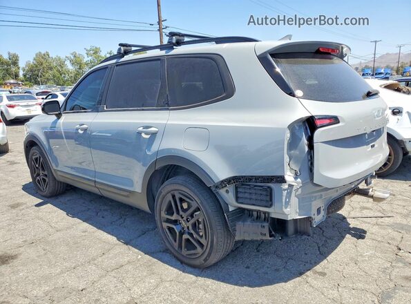 5XYP5DGCXRG446574 2024 KIA TELLURIDE Gray Tył lewy