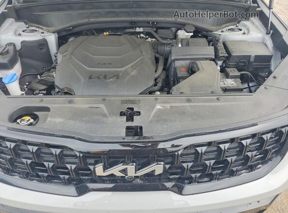 5XYP5DGCXRG463794 2024 KIA TELLURIDE Gray Vista del compartimento del motor