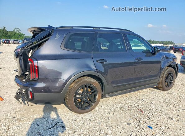 5XYP5DGCXSG690523 2025 KIA TELLURIDE Gray Tył prawy