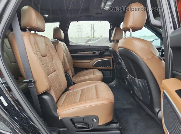5XYP5DHC3LG090667 2020 KIA TELLURIDE Black Vista interior trasera