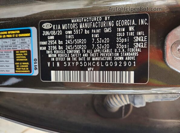5XYP5DHC6LG092901 2020 KIA TELLURIDE Зеленый Панорамный вид салона 360°