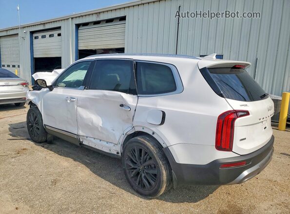 5XYP5DHC7NG205225 2022 KIA TELLURIDE Белый Задняя левая четверть