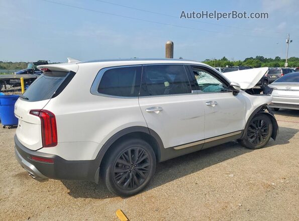 5XYP5DHC7NG205225 2022 KIA TELLURIDE Белый Задняя правая четверть