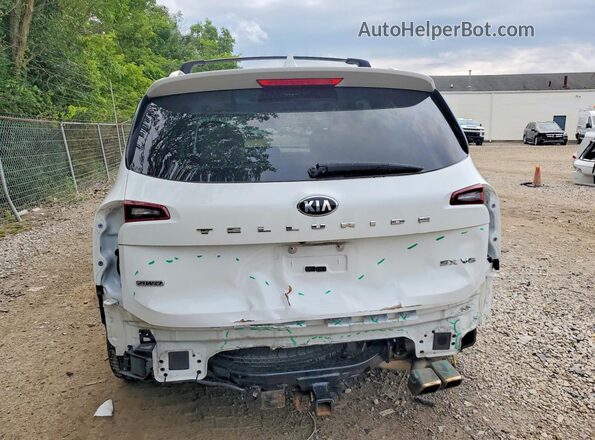5XYP5DHCXLG064874 2020 KIA TELLURIDE White Widok z tyłu