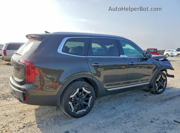 5XYP64GC6SG668905 2025 KIA TELLURIDE Gray Tył prawy
