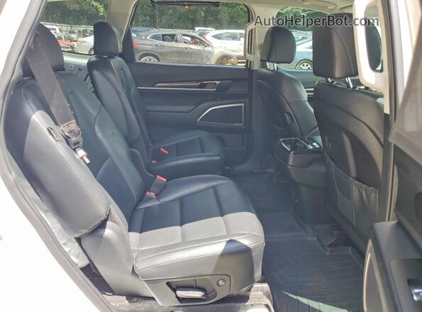 5XYP64GC7PG377191 2023 KIA TELLURIDE White Rear interior view
