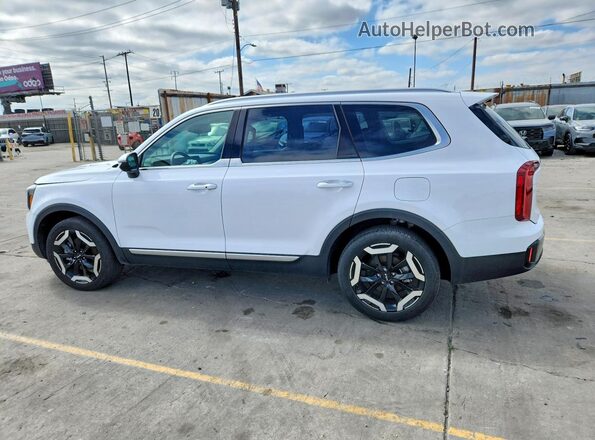 5XYP64GC8RG562997 2024 KIA TELLURIDE White Հետևի ձախ