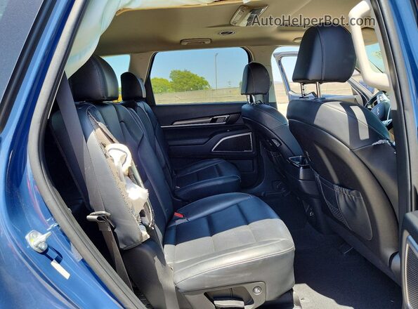 5XYP64GCXRG462965 2024 KIA TELLURIDE Blue Widok wnętrza z tyłu