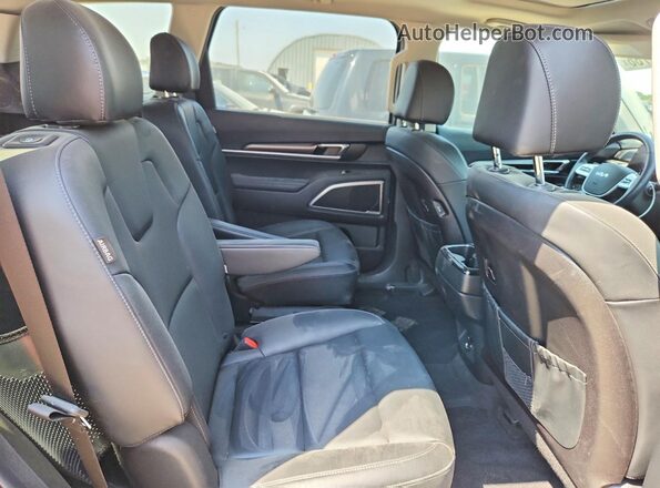5XYP64GCXSG678157 2025 KIA TELLURIDE Серебряный Вид задней части салона