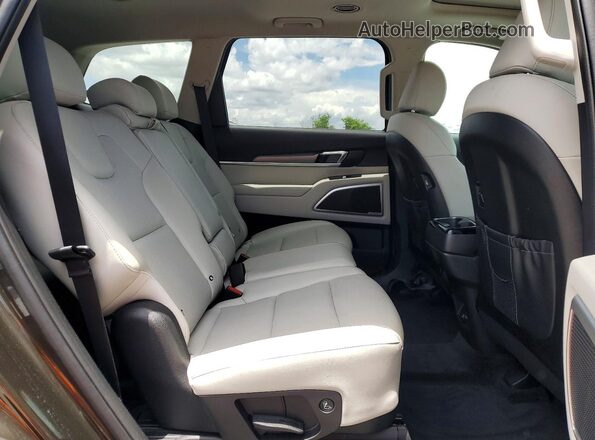 5XYP64HC3LG089208 2020 KIA TELLURIDE Green Widok wnętrza z tyłu