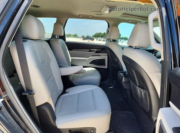 5XYP64HC9MG109141 2021 KIA TELLURIDE Черный Вид задней части салона