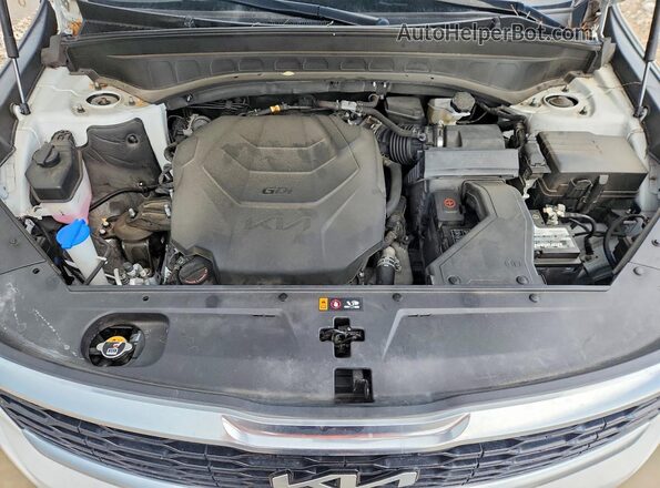 5XYP64HC9NG263236 2022 KIA TELLURIDE White უკანა სალონის ხედი