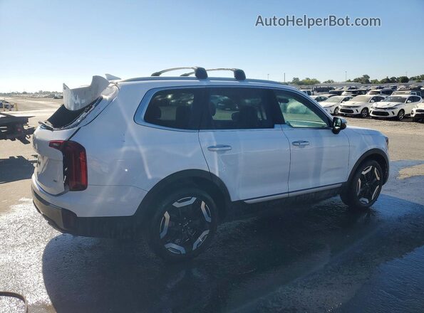 5XYP6DGC0SG583106 2025 KIA TELLURIDE Белый Задняя правая четверть