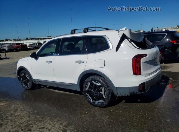5XYP6DGC0SG583106 2025 KIA TELLURIDE Белый Задняя левая четверть