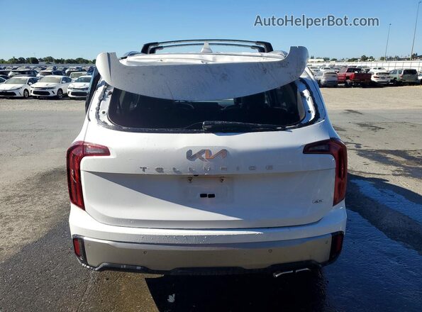 5XYP6DGC0SG583106 2025 KIA TELLURIDE Белый Вид сзади