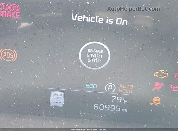 5XYP6DGC1PG362959 2023 KIA TELLURIDE Brown 
