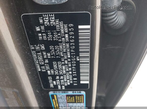 5XYP6DGC1PG362959 2023 KIA TELLURIDE Brown Widok komory silnika