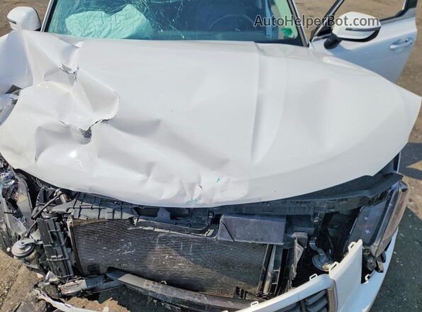 5XYP6DGC4PG381134 2023 KIA TELLURIDE White Вид підкапотного простору
