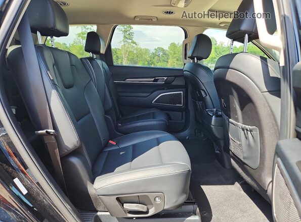 5XYP6DGC4SG693544 2025 KIA TELLURIDE Черный Вид задней части салона
