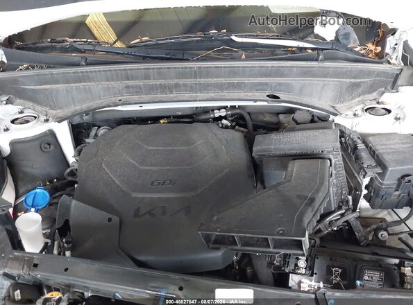 5XYP6DGC8SG590899 2025 KIA TELLURIDE Белый Вид сзади