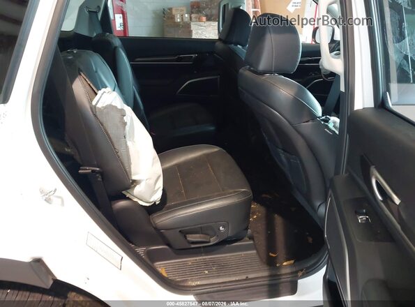 5XYP6DGC8SG590899 2025 KIA TELLURIDE Белый Вид наклейки с VIN-кодом