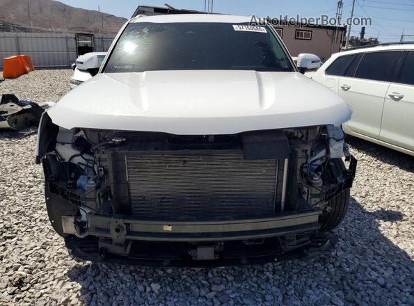 5XYP6DGC9RG519785 2024 KIA TELLURIDE White Widok z przodu