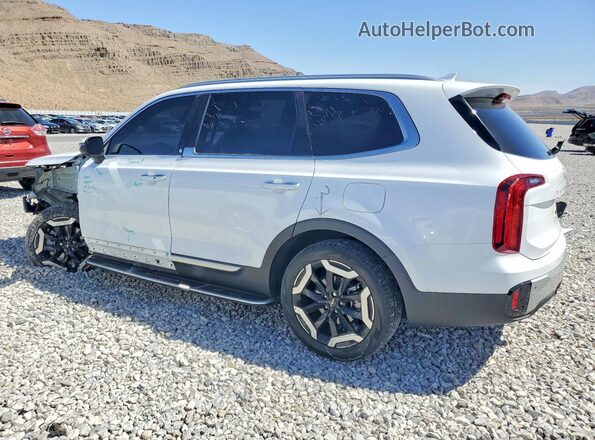 5XYP6DGC9RG519785 2024 KIA TELLURIDE White Tył lewy